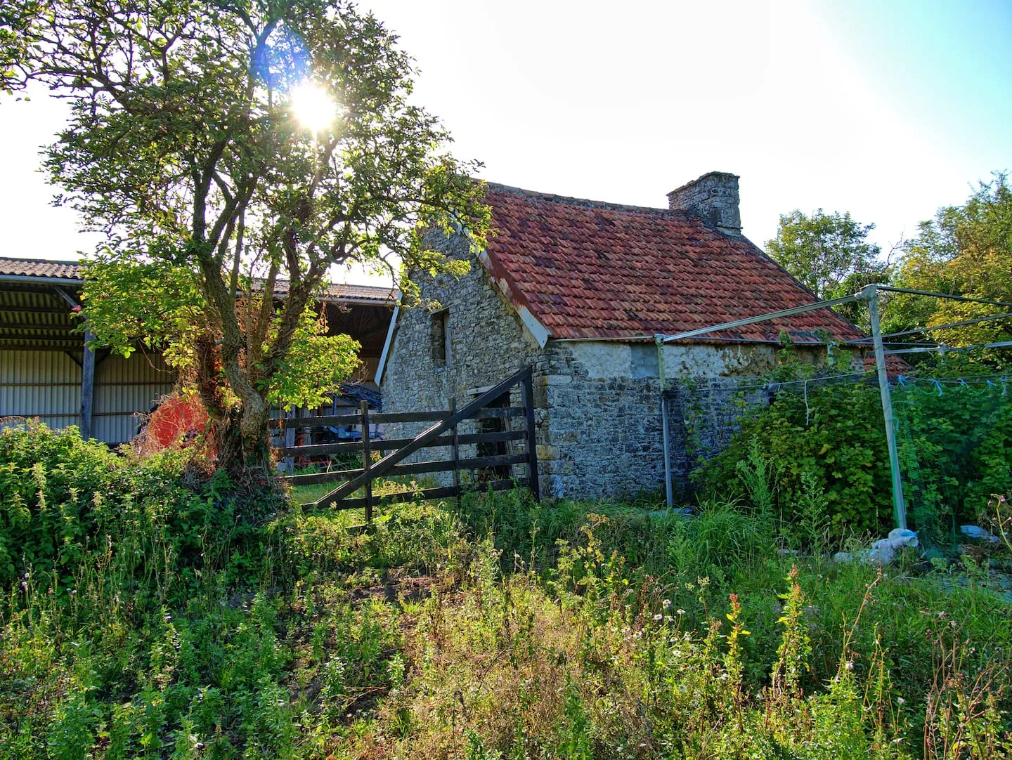 Au fond du jardin, l’ancienne dépendance en pierre